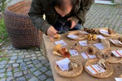 mostra_villa_mazzanti_2021_4