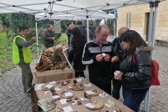 mostra_villa_mazzanti_2021_84