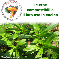 cd erbe