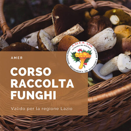 Corso raccolta funghi Lazio
