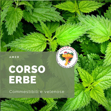 Corso erbe