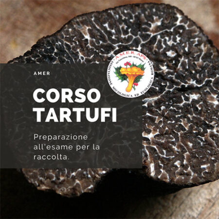 Corso tartufi