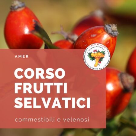 Corso frutti selvatici