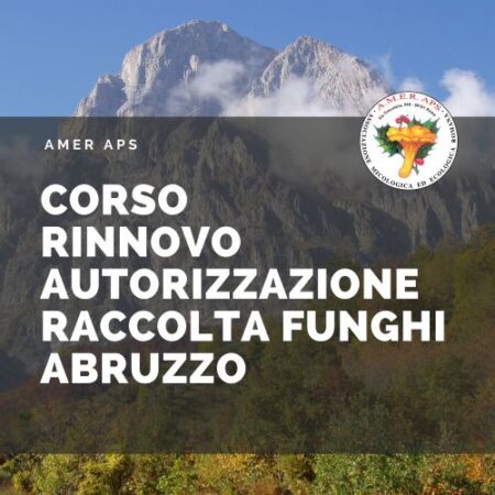 Corso rinnovo autorizzazione raccolta funghi Abruzzo