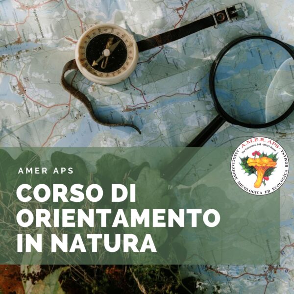 Corso di orientamento