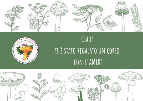 Buono regalo - immagine 2