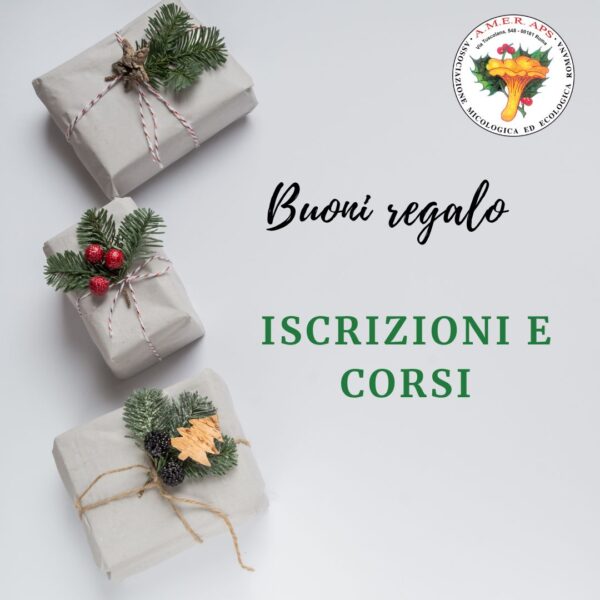 Buono regalo
