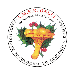 A.M.E.R. – Associazione Micologica Ecologica Romana