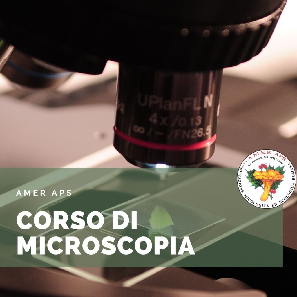 Corso di microscopia pratica