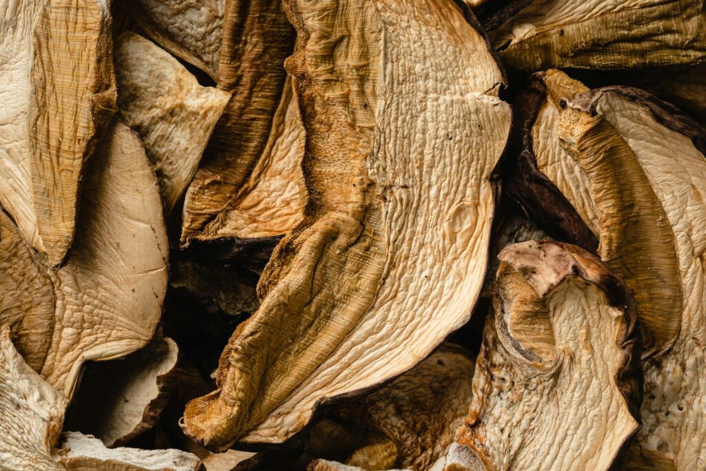 Funghi porcini secchi [100 g]