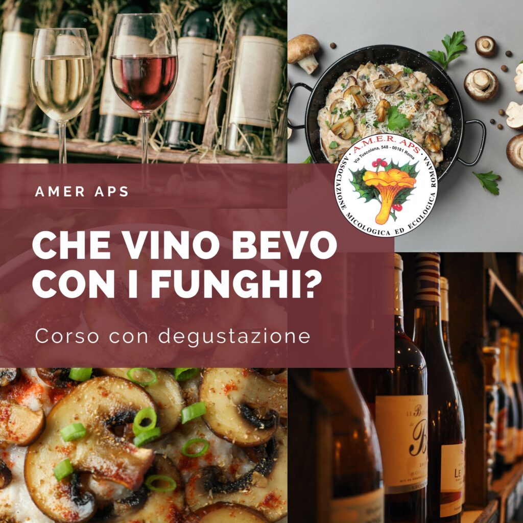 Corso di abbinamento funghi-vino