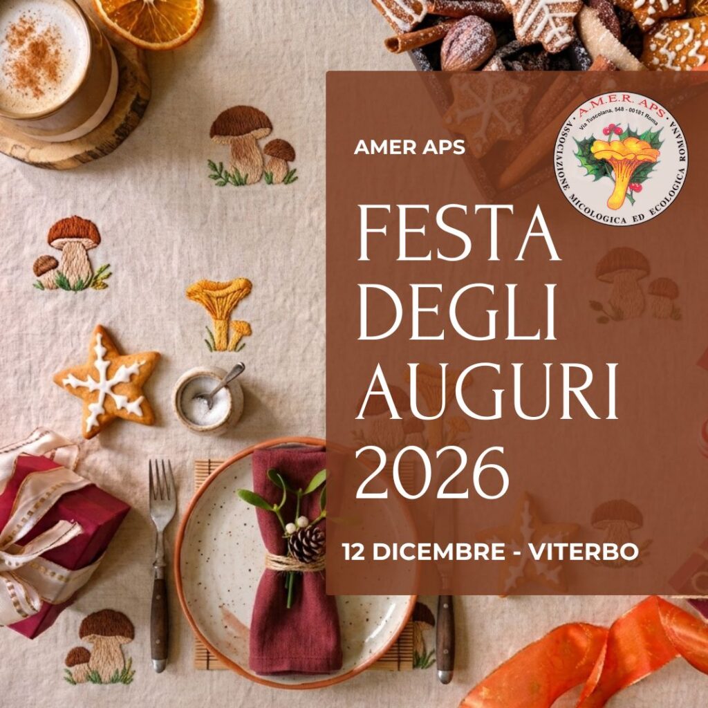 Festa degli auguri 2026 [12/12/2026]