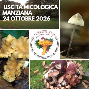 Uscita micologica a Manziana [24/10/2026]