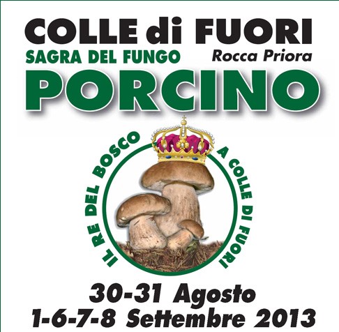 Mostra micologica a Colle di Fuori (Rocca Priora RM) – 2013