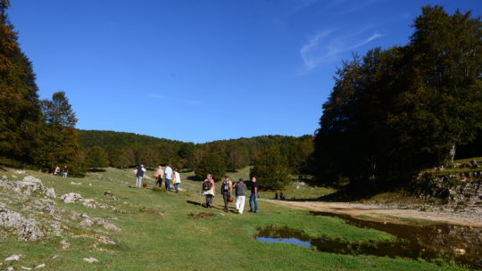 Report uscita micologica Parco di Ienne