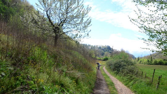 Report passeggiata didattica botanica a Genazzano