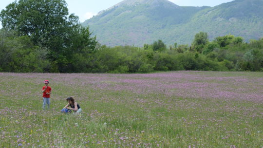 Relazione sull’uscita ai Piani di Pezza – Rocca di Mezzo del 3 giugno 2017