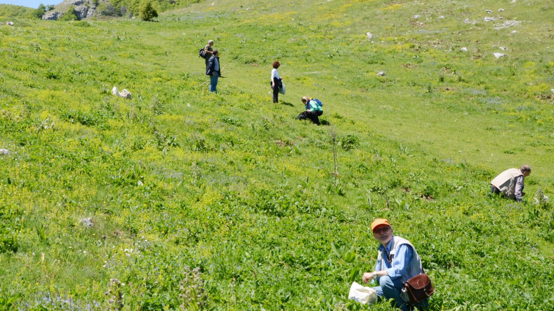 Relazione escursione botanica a Vallepietra del 28 maggio 2017