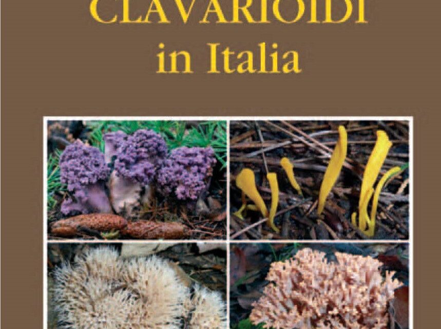 [Novità editoriali] I funghi clavarioidi in Italia, Franchi – Marchetti