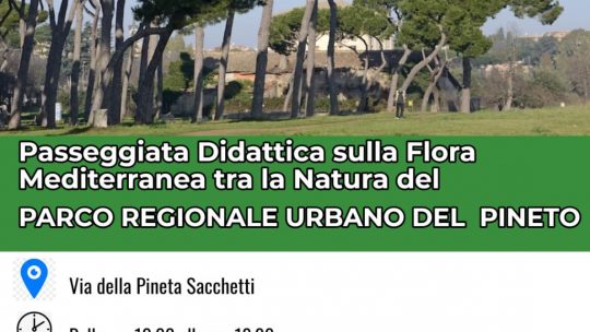 Passeggiata didattica al Parco del Pineto – 16 ottobre 2021