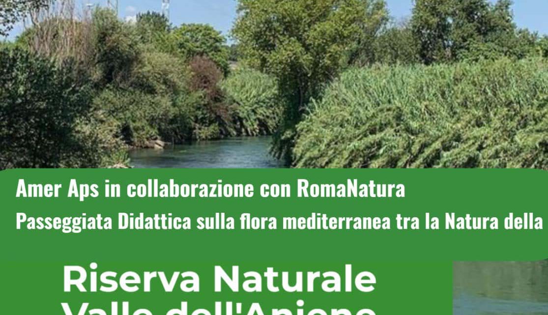 Passeggiata didattica sulla flora mediterranea nella Riserva Naturale Valle dell’Aniene – 6 novembre 2021