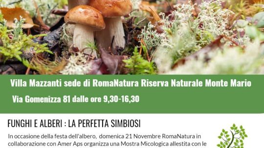 Mostra micologica con RomaNatura – 21 novembre 2021