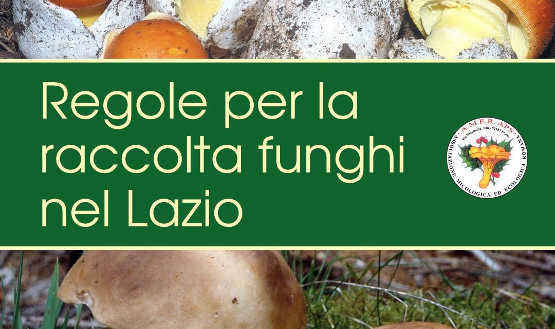 Raccolta funghi nel Lazio: le regole in vigore nel 2022