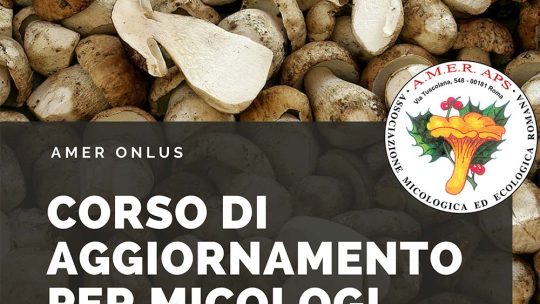 Corso di aggiornamento per micologi