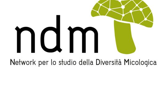 L’AMER partecipa al Network per lo studio della Diversità Micologica