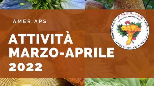 Attività marzo-aprile 2022