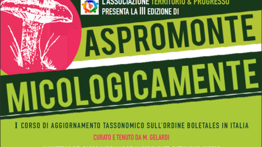 Aspromonte micologicamente 2022 [segnalazione]