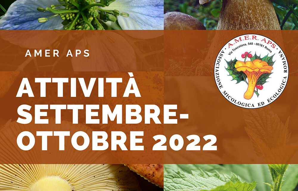 Prossime attività settembre e ottobre 2022