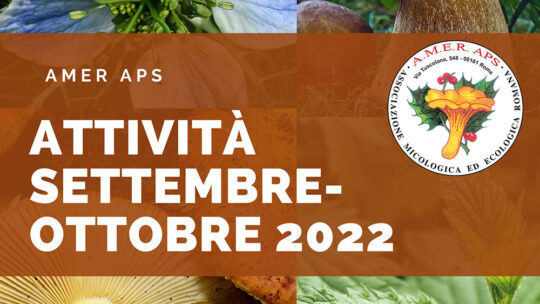 Prossime attività settembre e ottobre 2022