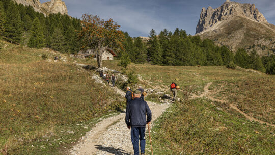 Report settimana verde a Bardonecchia (2022)