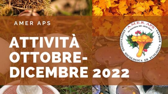 Aggiornamento prossime attività ottobre 2022 – dicembre 2023