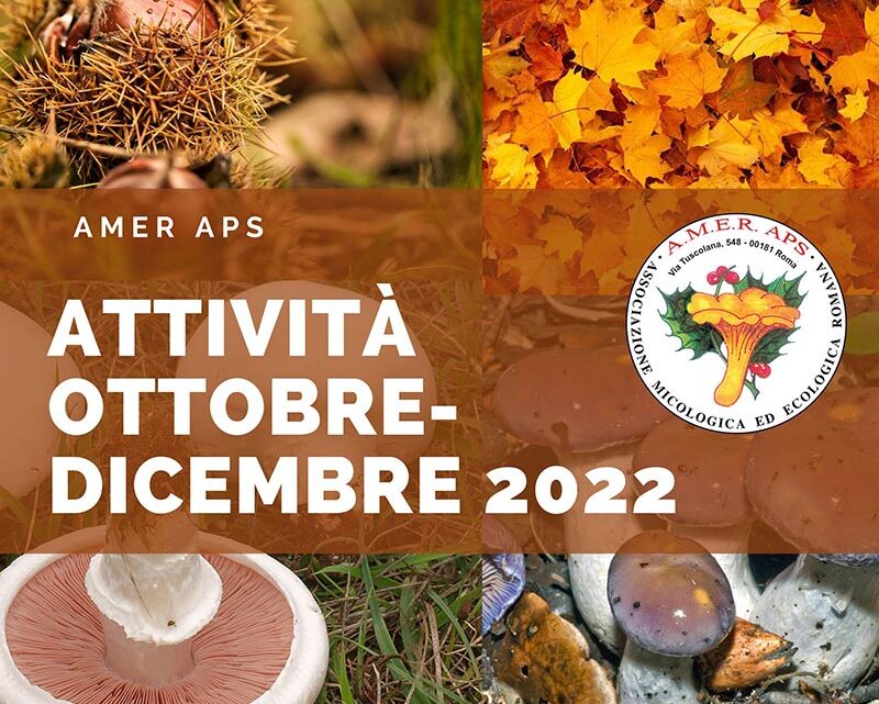 Aggiornamento prossime attività ottobre 2022 – dicembre 2023