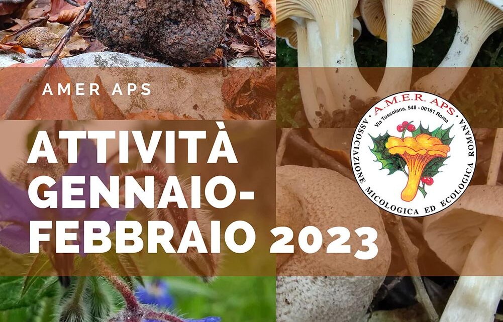 Attività gennaio-febbraio 2023