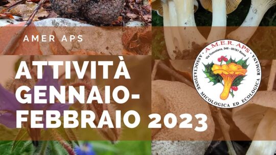 Attività gennaio-febbraio 2023