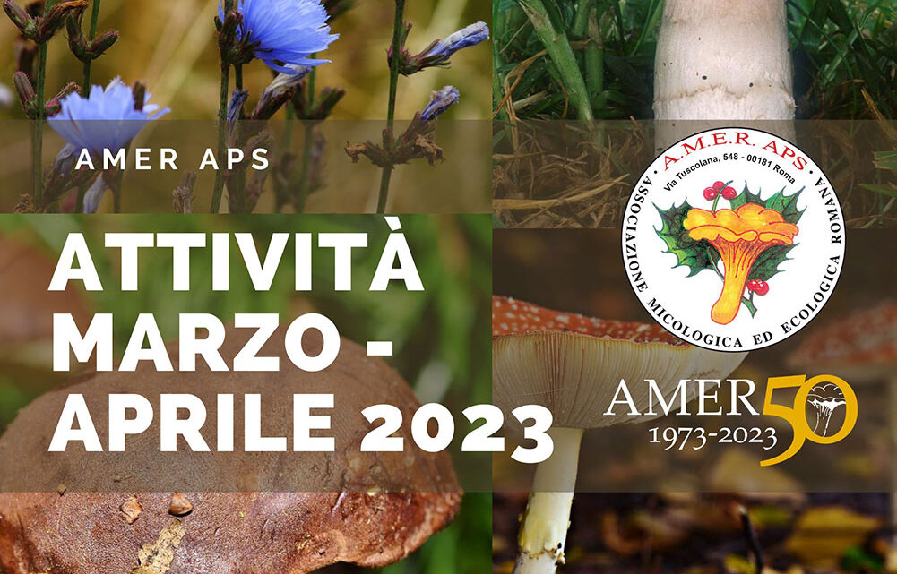 Attività marzo-aprile e Programma 2023