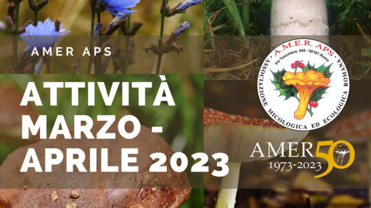 Attività marzo-aprile e Programma 2023