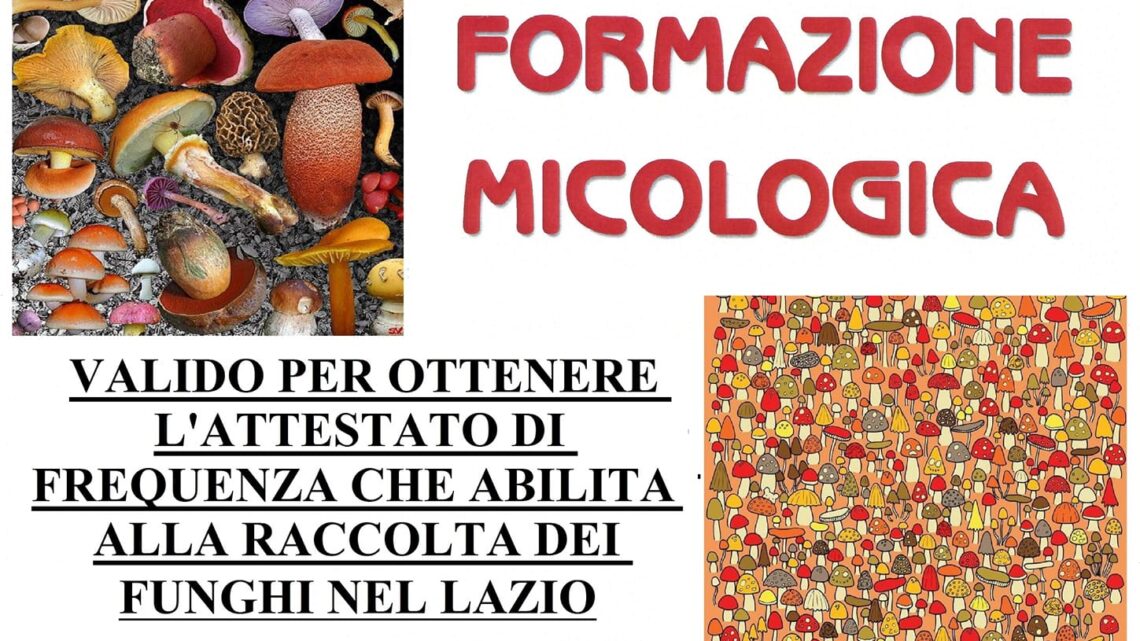 Corso raccolta funghi a Collalto Sabino (13-14-15 ottobre 2023)