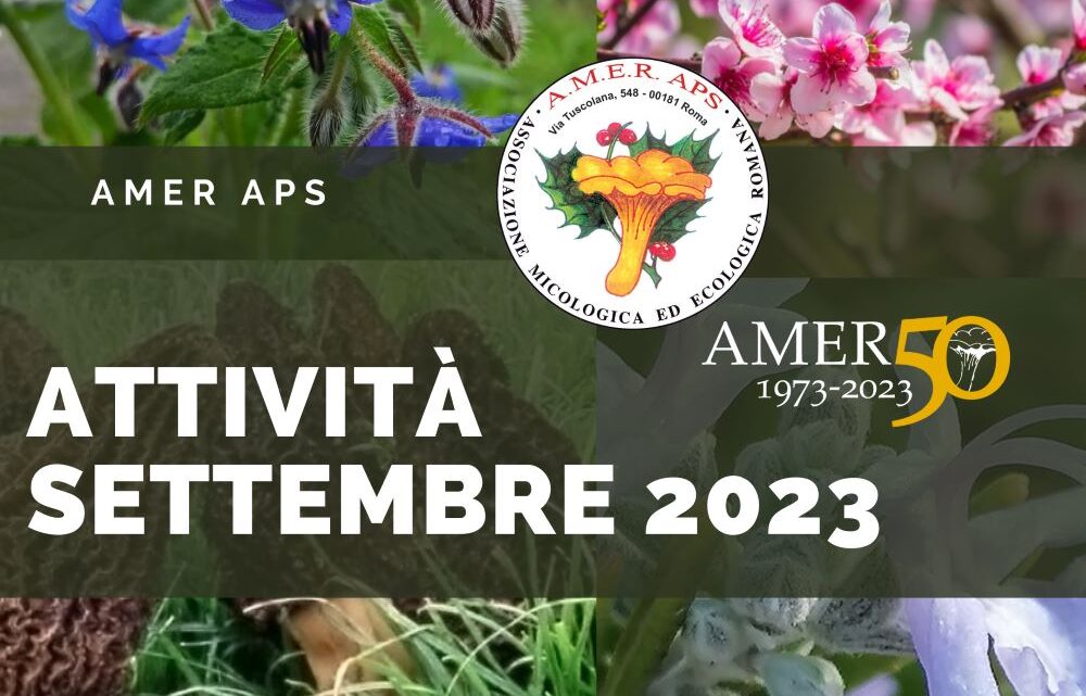 Attività settembre 2023