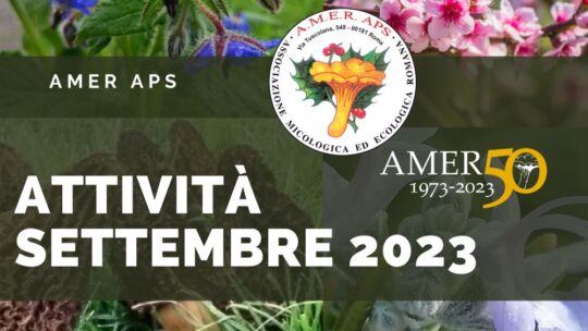 Attività settembre 2023