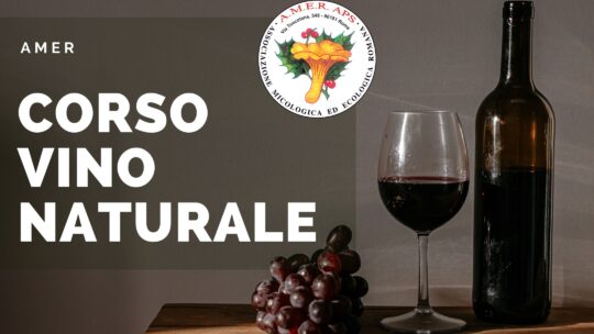 Corso di avvicinamento al vino naturale