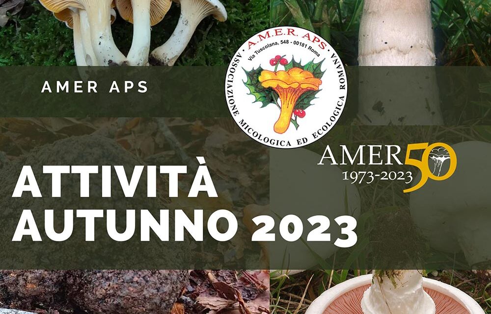 Nuove attività autunno 2023