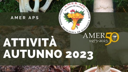 Nuove attività autunno 2023