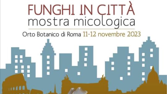 Funghi in città – Mostra micologica (Roma, 11 e 12 novembre 2023)