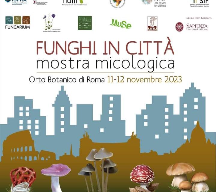 Funghi in città – Mostra micologica (Roma, 11 e 12 novembre 2023)