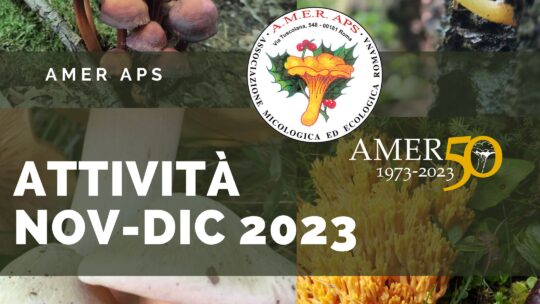 Prossime attività novembre-dicembre 2023